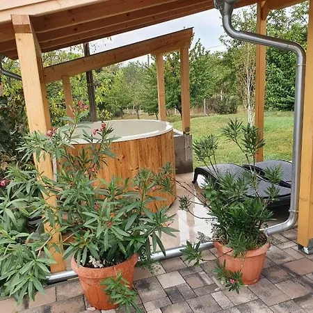 Borkuti Panzio Es * Balatonszárszó