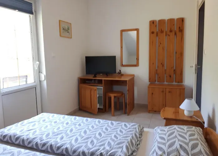 Borkuti Panzio Es Hotell Balatonszárszó