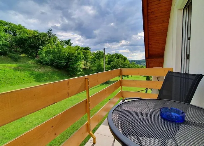 Borkuti Panzio Es Hotel *