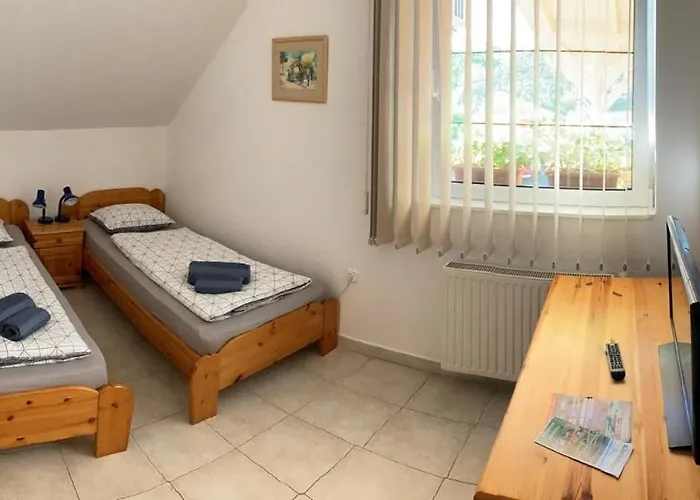 Borkuti Panzio Es * Balatonszárszó