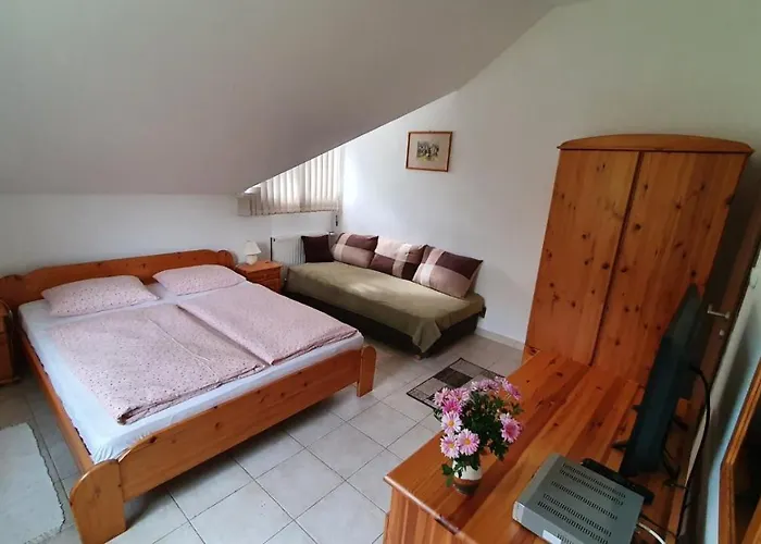 Hotel Borkuti Panzio Es Balatonszárszó