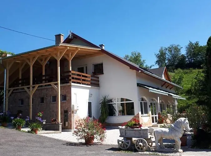 Borkuti Panzio Es Hotell