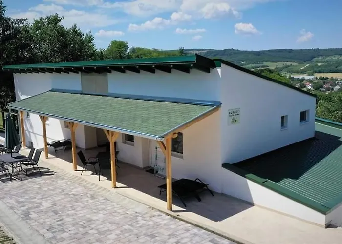 Borkuti Panzio Es Hotell