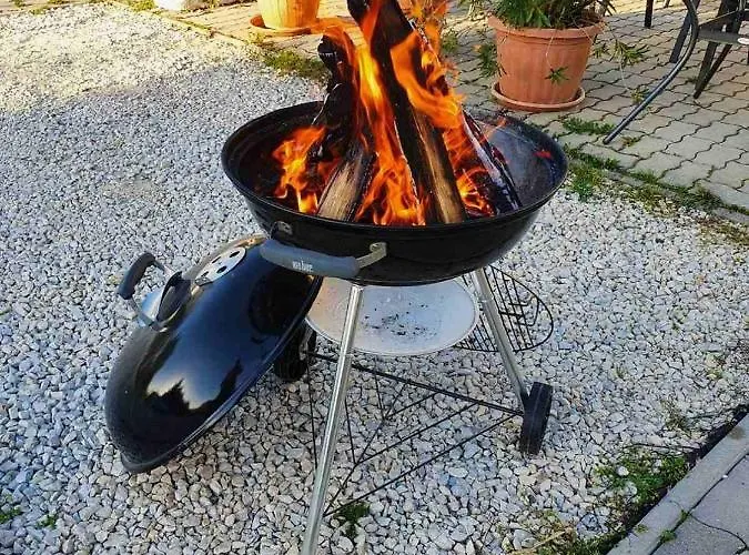 Hotell Borkuti Panzio Es *