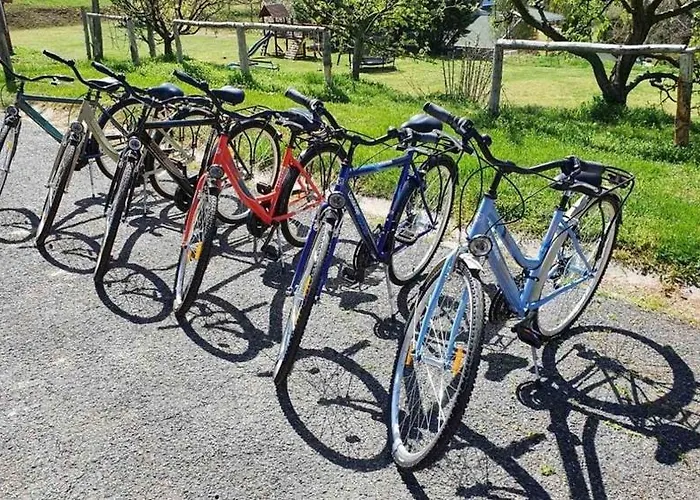 Borkuti Panzio Es Hotell